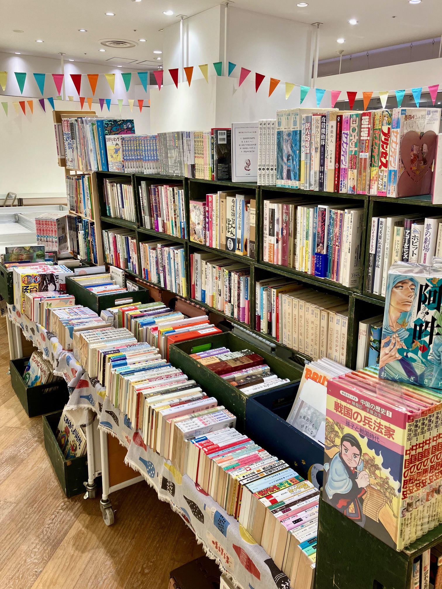 IMG_0415.jpeg IMG_0415.jpeg