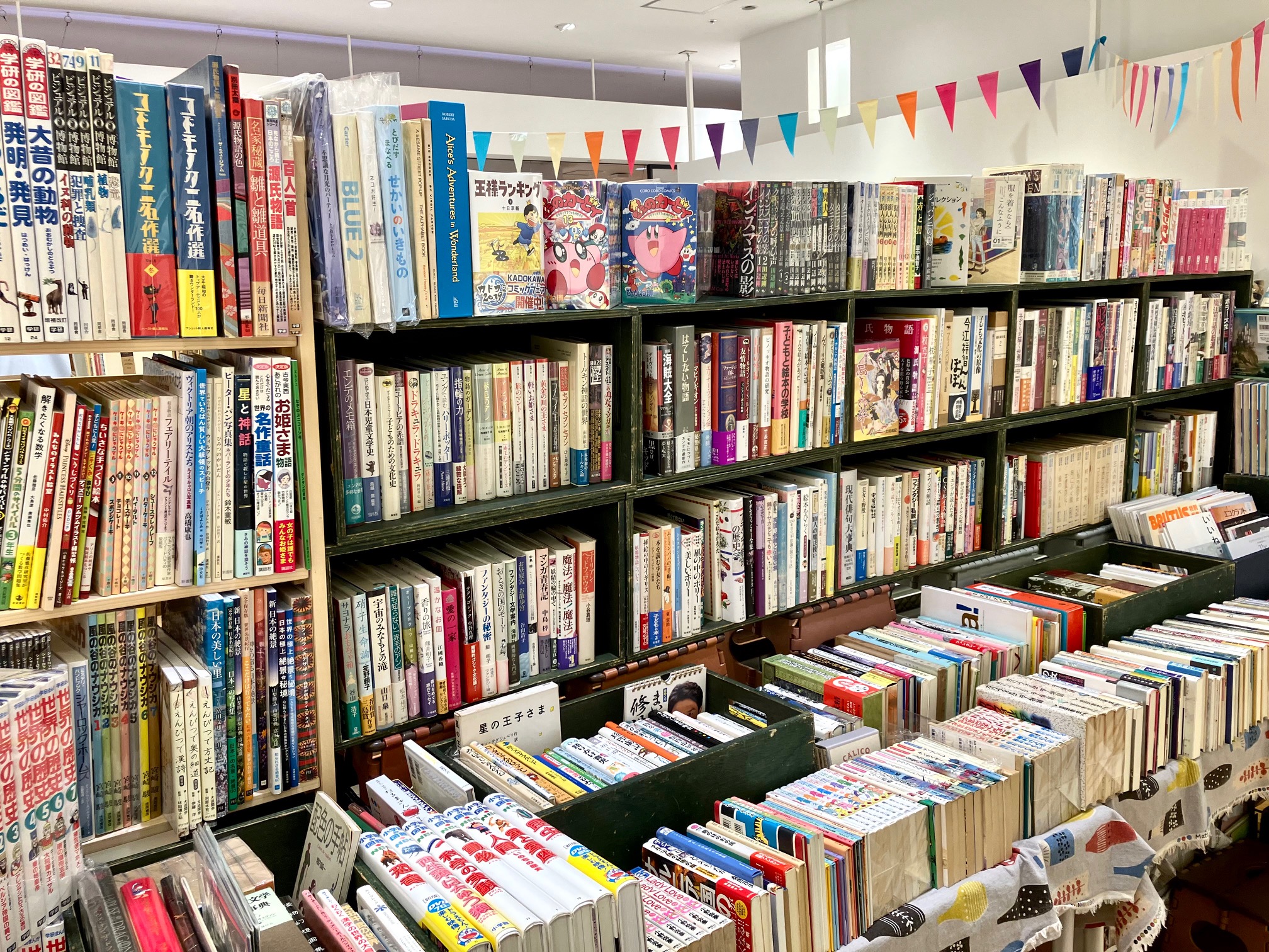 IMG_0416.jpeg IMG_0416.jpeg